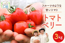 先行予約:NicoFarm トマトベリー(ミニトマト)3Kg_Y124-0013