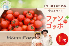 先行予約: NicoFarm ファンゴッホ(中玉トマト)1Kg_Y124-0017