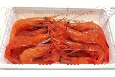【獲れたての味！】甘エビ３００ｇ×３パックセット_Y022-0024