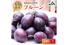【2026年9月上旬発送分先行予約】プルーン 400g×4パック_Y010-0526