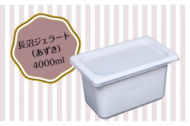 ステンレス製アイス・ジェラート保存容器4個セット 中古品 ステンレス