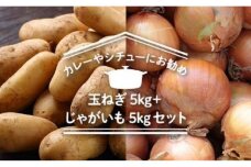 【2023年秋発送】「カレーやシチューにお勧め」玉ねぎ5kg+じゃがいも5kgセット