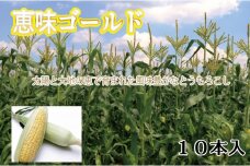 【2023年夏発送】【農家直送】もぎたてとうもろこし10本