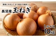 【先行予約】北海道長沼産玉ねぎＬサイズ10kg(2025年11月下旬発送開始予定)