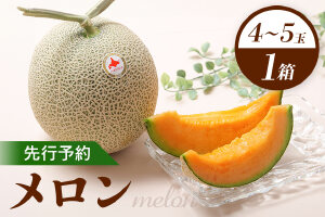 【先行予約】 赤肉メロン1箱（4～5玉） 【令和8年7月～8月上旬発送】【1201802】