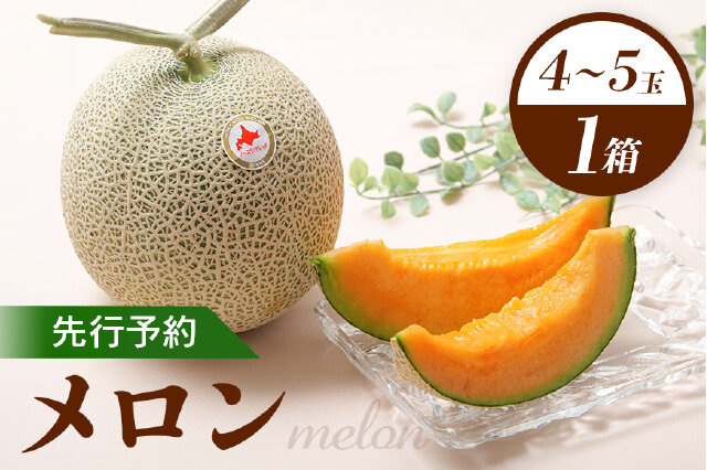ふるさと納税 「【先行予約】 赤肉メロン1箱（4～5玉） 【令和8年7月