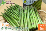【先行受付】グリーンアスパラ（Lサイズ１kg）【1201502】
