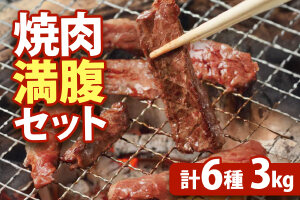 【！9/30で受付終了！】大畠精肉店の焼肉満腹セット（計6種3kg）【1301103】
