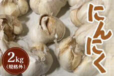 【先行受付】にんにく2kg（規格外）【令和8年8月～12月発送】【1200302】