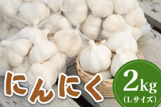 【先行受付】にんにく2kg(Lサイズ)【令和8年8月～12月発送】【1200402】