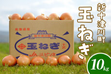 【先行受付】玉ねぎ Lサイズ（10kg）【令和8年10月～12月中旬発送】