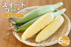 【先行受付】 スイートコーン（イエロー）5kg【令和8年8月1日頃～31日頃発送】