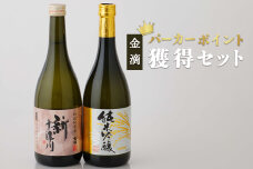 【金滴酒造】 パーカーポイント獲得セット（純米吟醸・新十津川 各720ml×1本）【1500203】