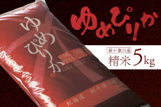 【令和7年度産】ゆめぴりか精米（5kg）【1101206】
