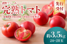 《先行受付》清野ファームの完熟トマト 20～28玉（約3.5kg）【1800102】