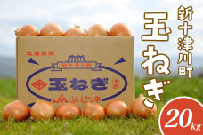 【先行受付】玉ねぎ Lサイズ（20kg）【令和８年10月～12月中旬発送】【1200202】