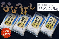 《先行受付》新米【令和6年度産】ななつぼし特別栽培米(20kg)【1100601】