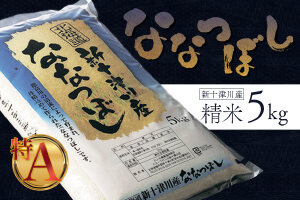 《先行受付》【令和7年度産】ななつぼし食味ランキング「特A」精米（5kg）【1100304】