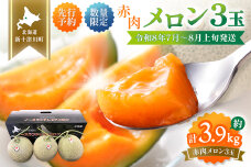 【先行予約】【数量限定】 赤肉メロン3玉【令和８年７月～８月上旬発送】【1203201】