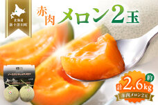 【先行予約】【数量限定】 赤肉メロン２玉【令和８年７月～８月上旬発送】【12031】