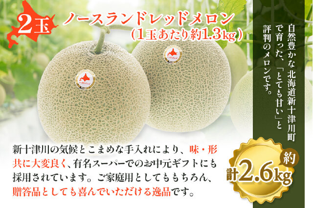 ふるさと納税 「【先行予約】【数量限定】 赤肉メロン2玉【令和8年7