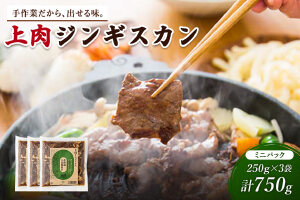 大畠精肉店の上肉じんぎすかんミニパック250g×3袋（計750g）【13022】