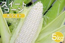 【先行受付】 スイートコーン（ホワイト）5kg【令和8年8月1日頃～15日頃発送】【1201902】