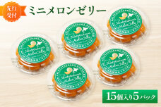 【先行受付】ミニメロンゼリー5パック【令和8年8月～11月発送】