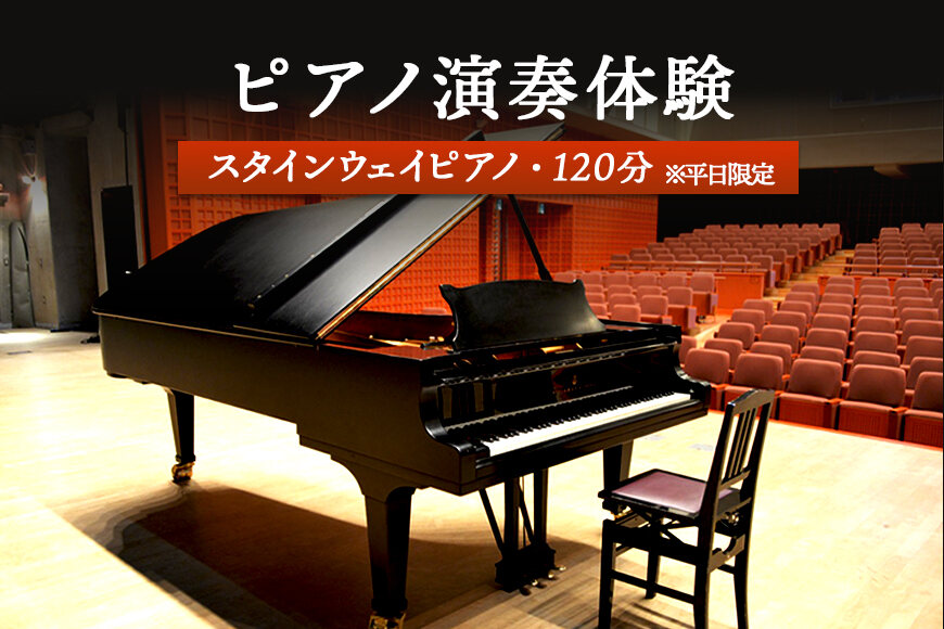 スタインウェイピアノ試弾券（120分）　※平日限定（午前９時～午後９時）【2100101】