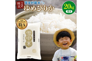 【先行予約】令和7年産 特Aランク米 ゆめぴりか 精米 20kg 【6月発送】nr-0162