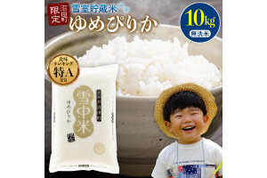 【先行予約】令和7年産 特Aランク米 ゆめぴりか 無洗米 10kg 【6月発送】nr-0314