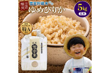 【先行予約】令和7年産 特Aランク米 ゆめぴりか 玄米 5kg 【6月発送】 nr-0466