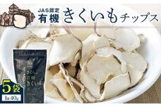 菊芋チップス 5袋入り n-0081