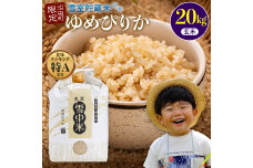 【先行予約】令和7年産 特Aランク米 ゆめぴりか 玄米 20kg 【7月発送】 nr-0607