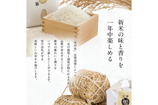 新米　無洗米 20kg (10kg×2袋) 新米 無洗米 20kg (10kg×2袋) 【公式通販】
