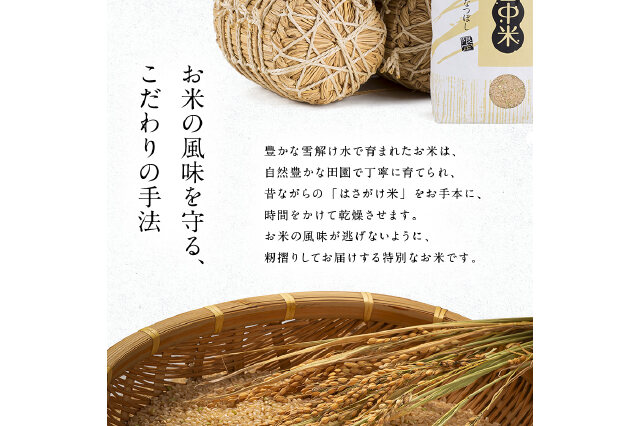 無洗米 ななつぼし 無洗米 5kg ふるさと納税 定期便3ヶ月 ななつぼ