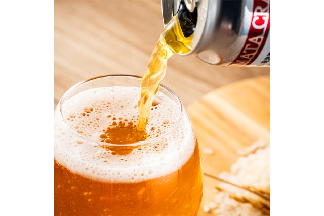 ふるさと納税 「沼田町クラフトビール IPA 6缶 地ビール 酒 アルコール