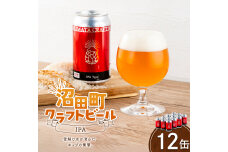 沼田町クラフトビール IPA 12缶 地ビール 酒 アルコール飲料 沼田町 北海道 n-0265