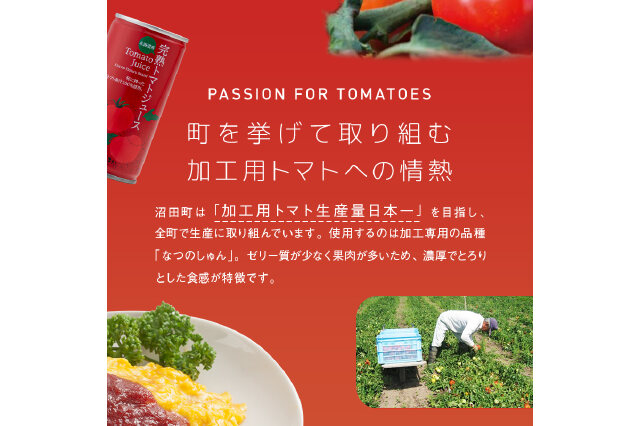 ふるさと納税 「契約農家が露地栽培した完熟トマトケチャップ（320g瓶