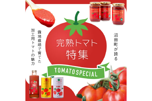 ふるさと納税 「【定期便】契約農家が露地栽培した完熟トマト