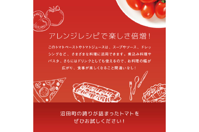 ふるさと納税 「【定期便】契約農家が露地栽培した完熟トマト