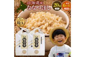 令和8年産【定期便6ヶ月】ななつぼし 玄米 20kg（10kg×2袋） 【1月発送】 nr-3324