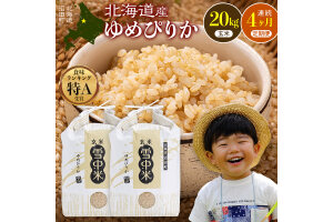 令和8年産【定期便4ヶ月】ゆめぴりか 玄米 20kg（10kg×2袋） 【5月発送】 nr-3583