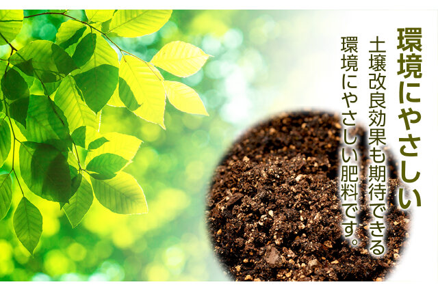 ふるさと納税 「肥料 貝化石 20kg 2袋 土壌 改良 ミネラル 環境