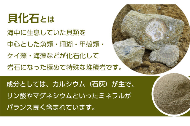 ふるさと納税 「肥料 貝化石 20kg 1袋 土壌 改良 ミネラル 環境