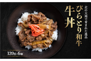 びらとり和牛牛丼120ｇ6個 BRTB033
