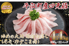 【平取町産四元豚】ゆめの大地豚肉切落し（ﾓﾓ・ｳﾃﾞこま肉）200g×22パック BRTD003