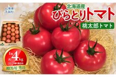 【贈答用】びらとりトマト（桃太郎トマト）秀品 1箱 約4kg（20～24個 満詰め） BRTO001