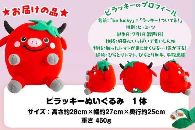 ふるさと納税 「【ご当地キャラ平取町】ビラッキーぬいぐるみ BRTT001