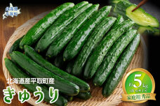 【先行予約/8月以降発送】【北海道平取町産】秀品 キュウリ１箱Мサイズ５kg BRTO004